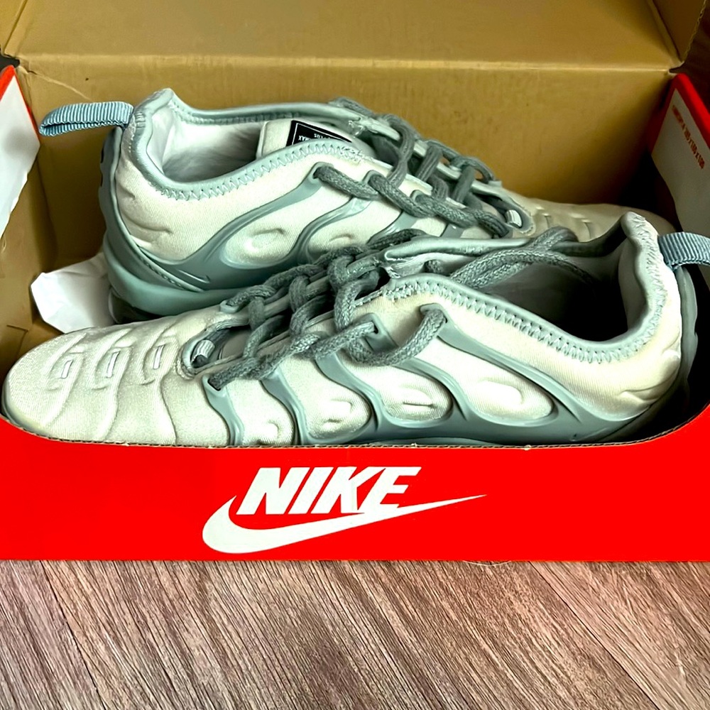Nike vapor max plus light gray